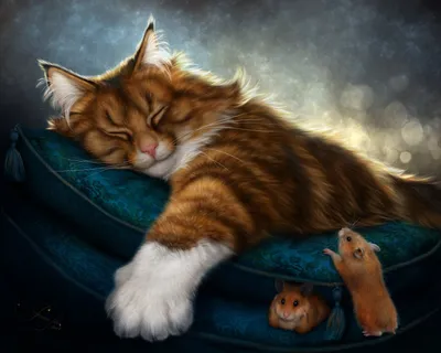 Фотогалерея \"Спящие котята\" - \"Три сонных котенка\" - Фото котят