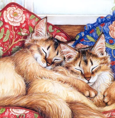 Кошка и котенок. Мать и ребенок. Кошка смотрит на спящего котенка. Любовь,  семья, любовь. Кошка-серый, пушистый. Котенок маленький, белый с рыжим. Фон  доска. Stock Photo | Adobe Stock