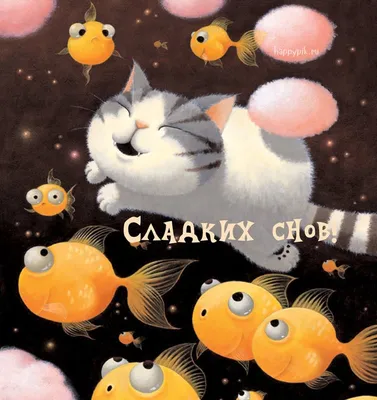 Спокойной ночи! Сладких снов! 😴#спокойнойночи #сладкихснов #добройноч... |  TikTok