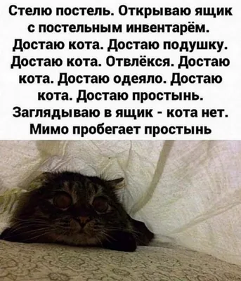 Спокойной ночи