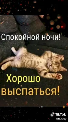 https://pikabu.ru/story/spokoynoy_nochi_11142672
