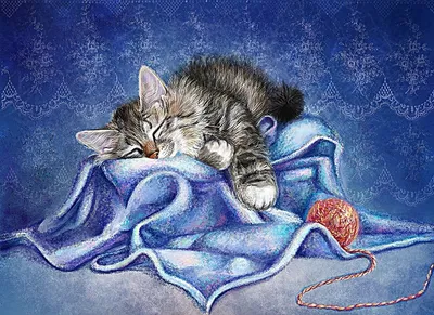 Кот спящий рисунок - 57 фото
