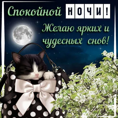 Котики Мурркотики - Пусть у всех дома будет своё Хорошо. Спокойной ночи. 😴  #МуррКотики #кот #кошка #котенок #котэ #котейка #коты #кошки #котята #котики  #муркотики #мур #мимими #милота #животные #cat #котик #kitten #animals #