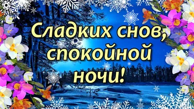 Спокойной ночи новые