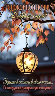 Идеи на тему «Доброй Ночи. Осень» (310) | ночь, спокойной ночи, луна,  искусство