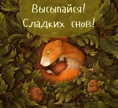 https://cvam.ru/pozhelanie-dobroy-nochi-vh-s-prirodoy