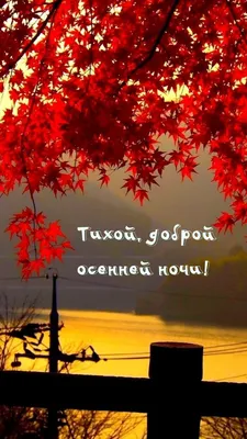 Спокойной ночи осенние