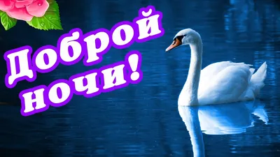 Красивые картинки для \"Спокойной ночи!\" (626 шт.)