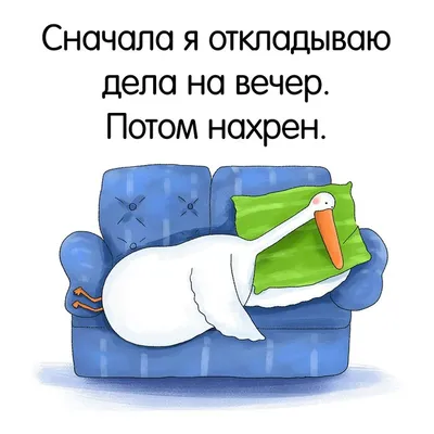 Pin by Сергей on спокойной ночи | Birthday quotes funny, Birthday quotes  for him, Funny quotes