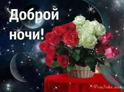 Открытка спокойной ночи со спящим котиком и цветами - поздравляйте  бесплатно на otkritochka.net