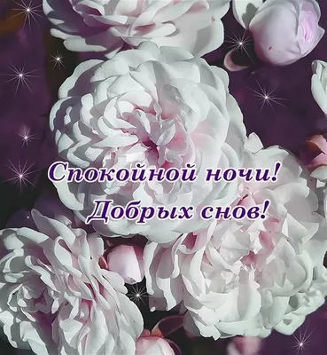 Картинки с Цветами - спокойной ночи — 🎁 Скачать бесплатно картинки с  пожеланиями на Pozdravim-vseh.ru