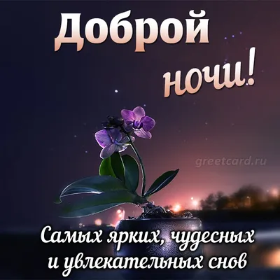 ✨🌙 Спокойной ночи! ✨✨✨ | Поздравления, пожелания, открытки | ВКонтакте