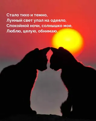Красивые слова пожелания спокойной ночи - Скачайте на Davno.ru