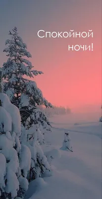 картинки спокойной зимней ночи｜Поиск в TikTok