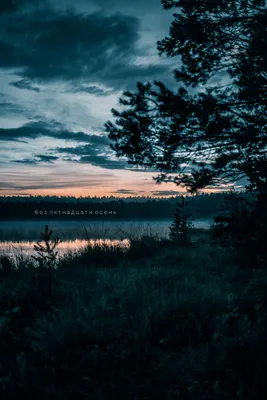 Спокойное место - тихое спокойное место, самые спокойные места в мире –  ФотоКто