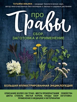 Как собрать лекарственные травы с помощью приложений | Крымская газета |  Дзен