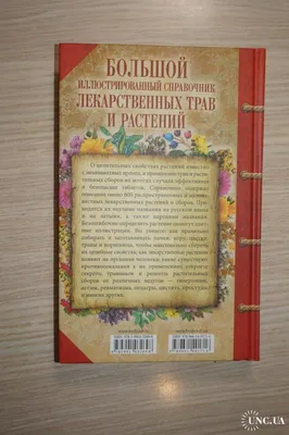 Книга Лекарственные растения Украины. Справочник для сборщика и  заготовителя . Купить – Bookstock маркетплейс