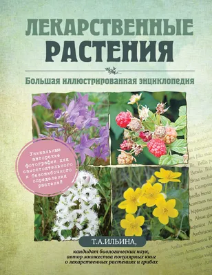 Лекарственные Растения, Большая Иллюстрированная Энциклопедия - купить в  Торговый Дом БММ, цена на Мегамаркет