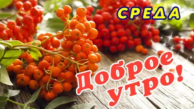 Гифки \"Доброго утра среды!\" (59 шт.)