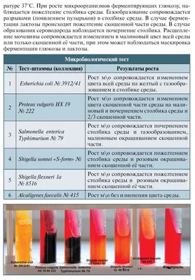 Среда день недели - Праздники сегодня | Среда, Открытки, Доброе утро