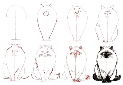 Картинки, рисунки милых котиков для срисовки | Милые котики, Рисунки, Уроки  акварельной живописи