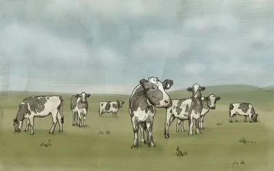 Стадо коров · Бесплатные стоковые фото