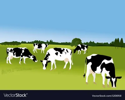 В Нефтеюганске стадо коров паслось у многоэтажек: «У нас город – ферма» -  SibMedia.ru