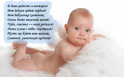 Ура! Я стала бабушкой🥳И это... - Питомник мейн-кунов | Facebook