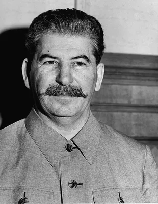 Чего на самом деле хотел Сталин? (Czech Free Press, Чехия) | 28.01.2022,  ИноСМИ