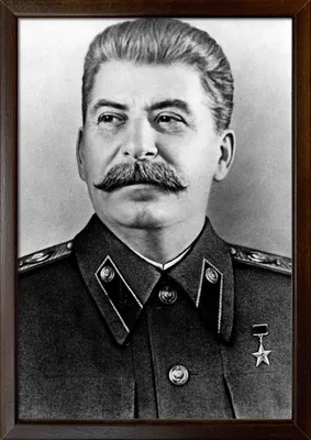 Портрет Сталина И.В. в рамке под дерево / А-3 (30x42 см.) - купить по  низкой цене в интернет-магазине OZON (408178127)