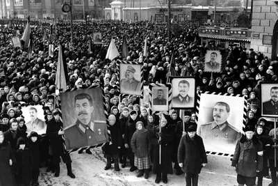 Товарищ Сталин - Статьи - Газета «Сельская новь»
