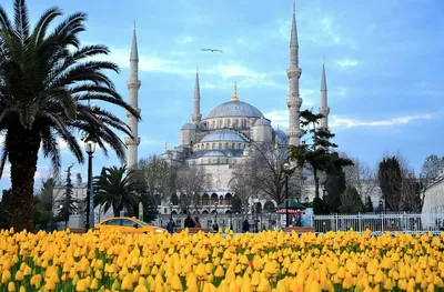 Стамбул приглашает на перекресток эпох и культур | Euronews