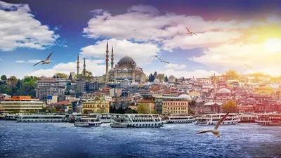 Фотосессия на крыше с чайками - индивидуальная экскурсия в Стамбуле от  опытного гида