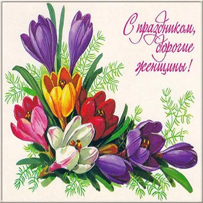 Советские открытки к 8 Марта (283 открыток) » Страница 4 » Картины,  художники, фотографы на Nevsepic