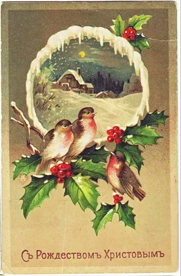 С Рождеством Христовым! Старинные открытки | Стеклянный воробей | Дзен