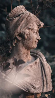 Статуя гипса Davids головы. Копия штукатурки статуи Давида Michelangelos  изоляции на черном фоне. Скульптура древнегреческого Иллюстрация штока -  иллюстрации насчитывающей украшение, греция: 176384717