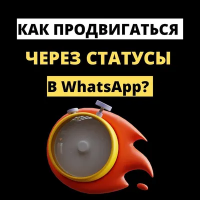 Как продвигаться через статусы в WhatsApp? — Наталия Пигаленкова на  TenChat.ru