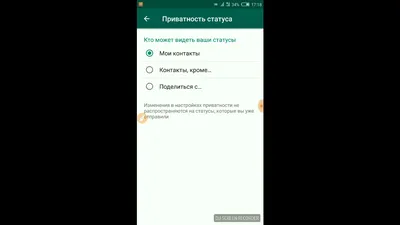 Что означают статусы сообщений в WhatsApp?🤔» — Яндекс Кью