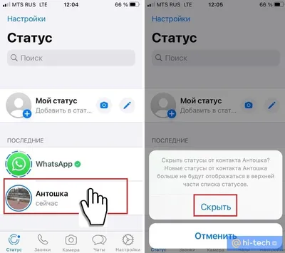 В WhatsApp появились пять новых функций для статуса | ВСЁ ПРО ВАТСАП | Дзен