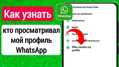Что означают статусы сообщений в WhatsApp?🤔» — Яндекс Кью