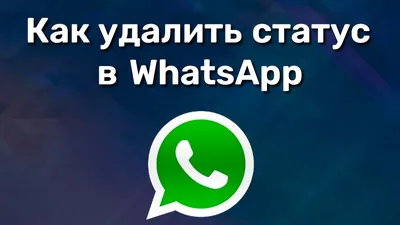WhatsApp Status 1.85 - Скачать для Android APK бесплатно
