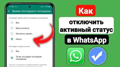 WhatsApp тестирует необычные статусы в приложении. У каждого будет  уникальный