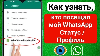 WhatsApp добавляет новую функцию: реакции на статусы с помощью цифровых  аватаров