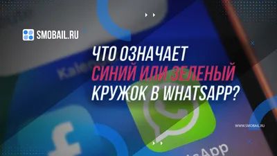 WhatsApp: как узнать, сколько раз вы видели мои истории - Infobae