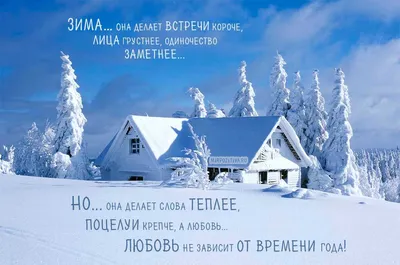 Короткие и красивые цитаты про зиму, волшебство и любовь! | Цитаты про зиму,  Цитаты, Красивые цитаты
