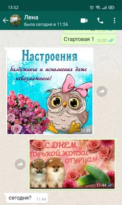 Приколы на ватсап - смешные фото и картинки! - pictx.ru