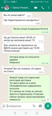 Приколы в Whatsapp 2024 | ВКонтакте