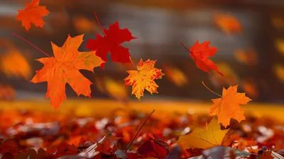 Стихи про осень для детей: 100 лучших стихов