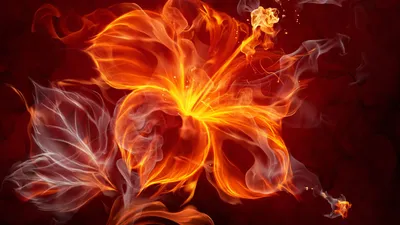 Фото 103162 » Огненный цветок » Четыре стихии: Огонь