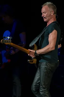 Sting Tells Stories Behind Biggest Hits, from Roxanne to Fields of Gold